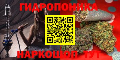 прущие грибы Балашиха