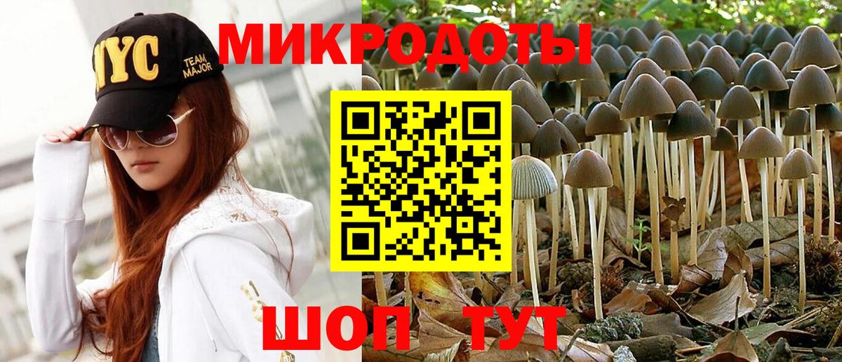 Галлюциногенные грибы Psilocybine cubensis Дербент