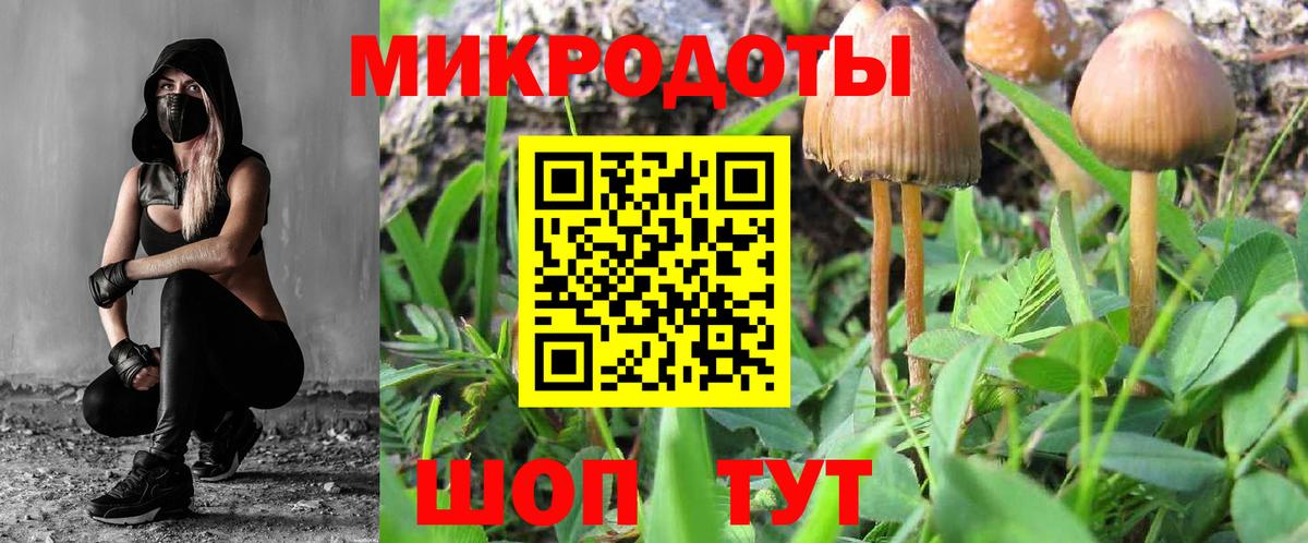 Галлюциногенные грибы Psilocybine cubensis  Псилоцибиновые грибы MAGIC MUSHROOMS  где купить наркотик  Дербент  Вход с VPN 